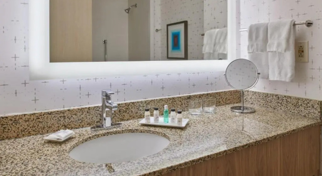 Четырёхместный номер Standard Delta Hotels by Marriott Detroit Novi