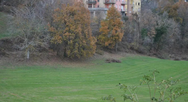 Номер Economy Agriturismo Petrarosa