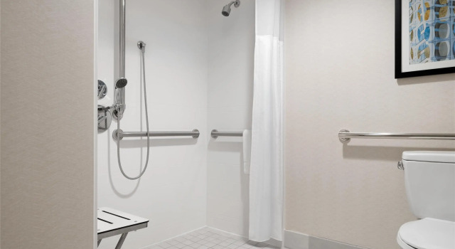 Двухместный номер with Roll In Shower Mobility Accessible Hilton Garden Inn Chicago Downtown/Magnificent Mile