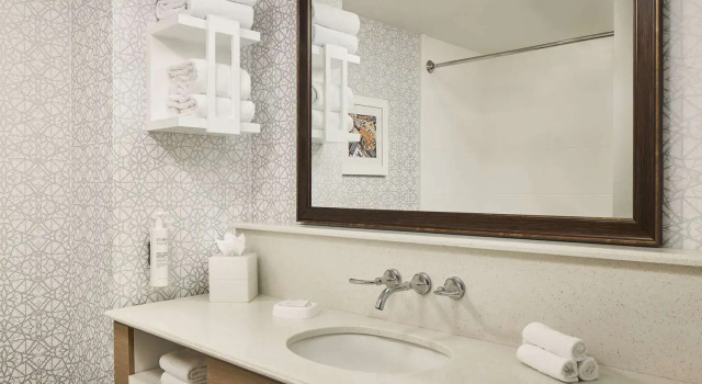 Номер Standard Hampton Inn & Suites Hershey Near the Park