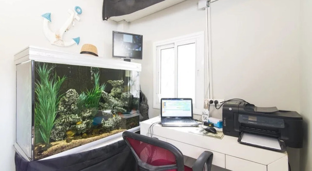 Sapir Hostel - Adults Only, Reserva ahora Albergue Hostales en Tel Aviv, cerca de Playa de Jerusalén, Albergue