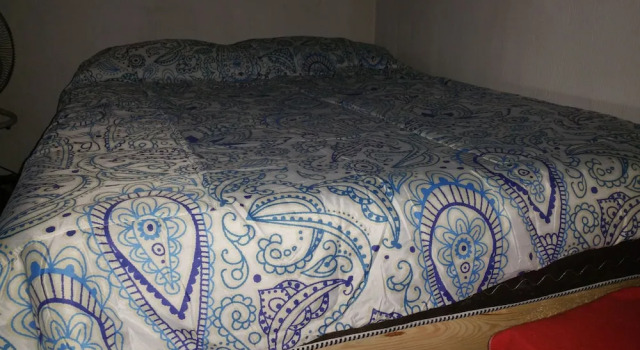 Номер Economy Hostel Enjoy Vallarta 19