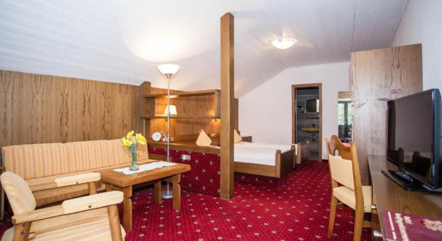 Двухместный номер Economy Hotel Am Wolfsgrubenersee