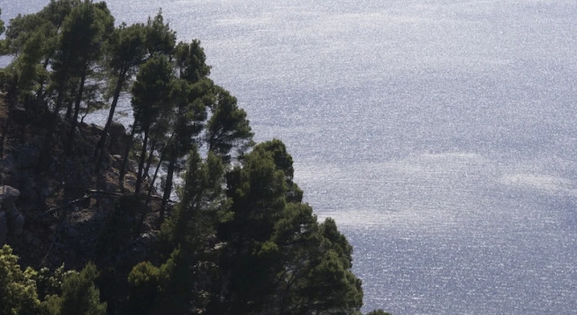 Полулюкс с балконом Bordoy Continental Valldemossa