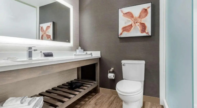Люкс Cambria Hotel Fort Mill