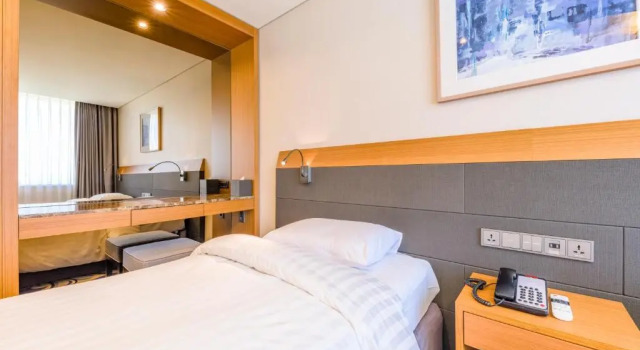Run of House Shin Shin Hotel Jeju Airport