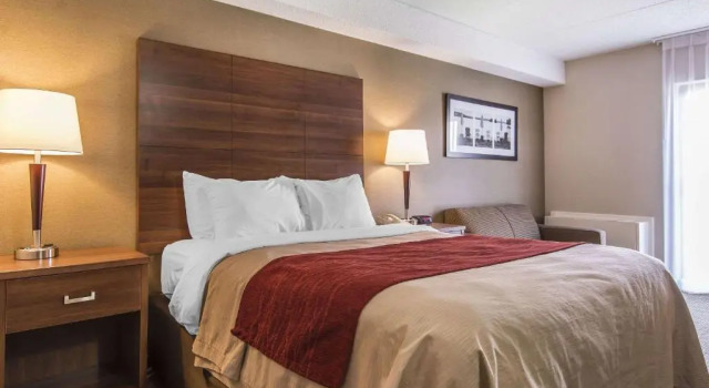Номер Standard Comfort Inn