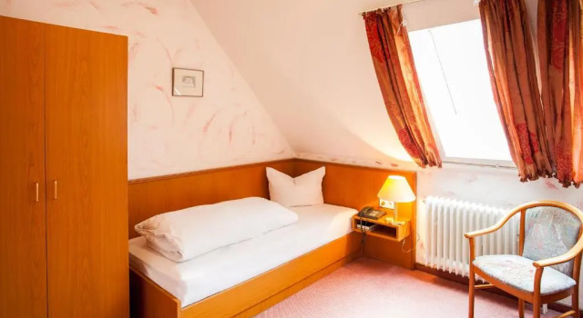 Одноместный номер Economy Hotel Alter Wolf
