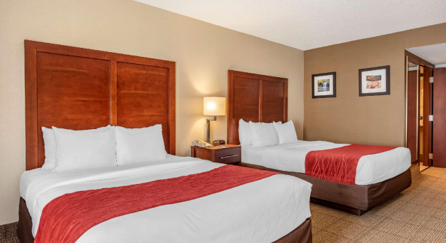 Четырёхместный номер Standard Comfort Inn & Suites