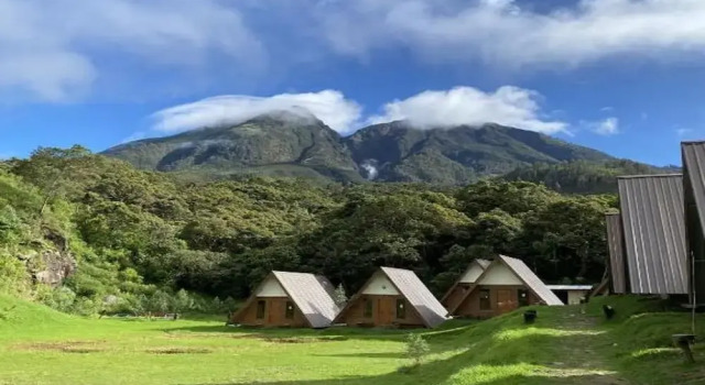 Tente Supercamp Sakura Hills