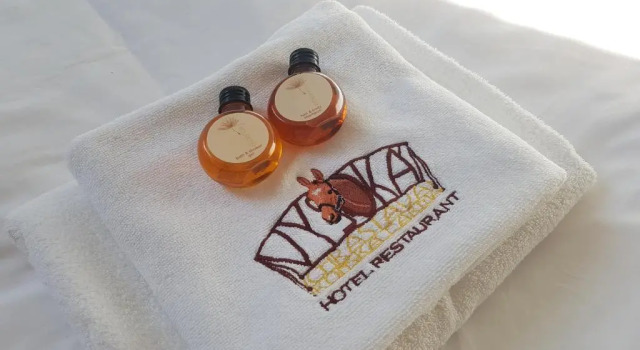 Номер Standard Hotel Farma Vysoká