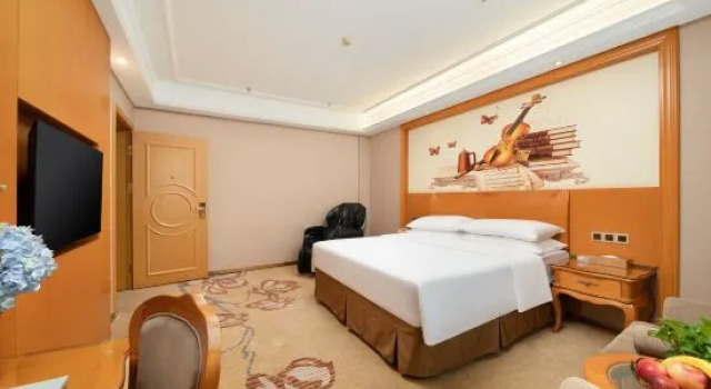 Люкс Business Vienna Hotel (Nanning Anji Wanda 33rd Middle School Subway Station)