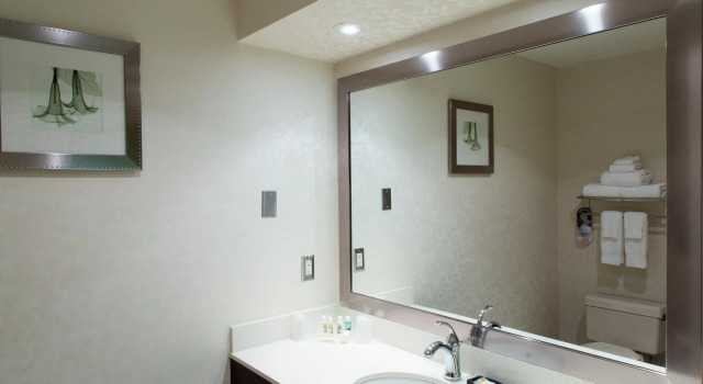 Номер Standard Holiday Inn Windsor - Ambassador Bridge by IHG