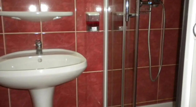 Номер Standard Hotel Decebal