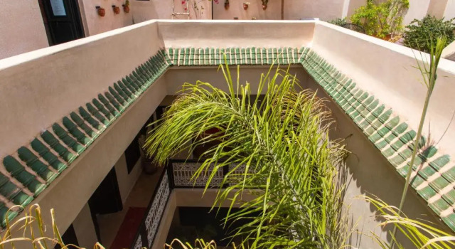 Riad Kadi