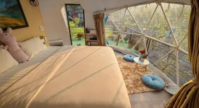 Тент Plum Homestay
