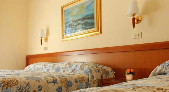 Номер Standard Hotel Delle Nazioni