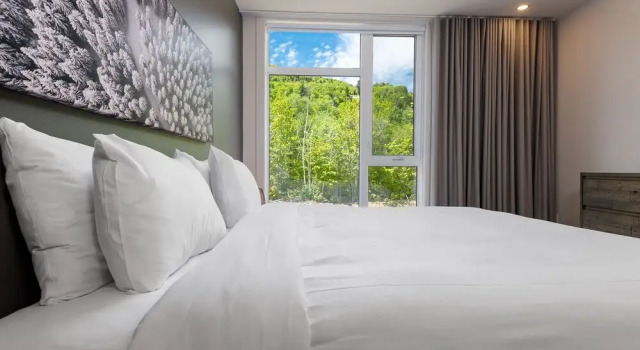 Апартаменты Цокольный этаж с 3 комнатами Les Appartements du Massif de Charlevoix