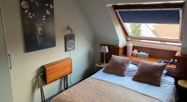 Двухместный номер Standard Hotel Ten Lande