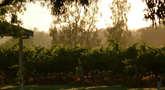 Коттедж с 2 комнатами Emmas Cottage Vineyard