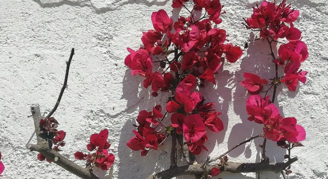 Вилла Masseria Semerano appartamento 2