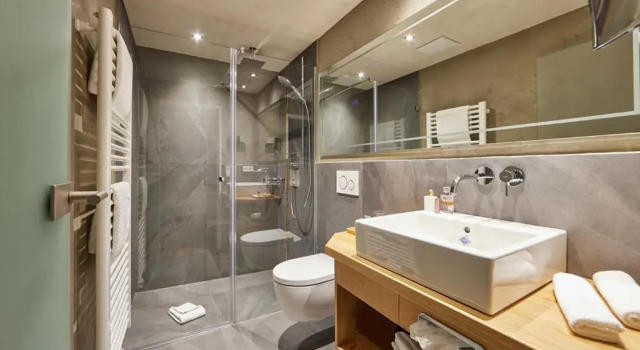 Двухместный номер Шале Hotel-Gasthof Adler