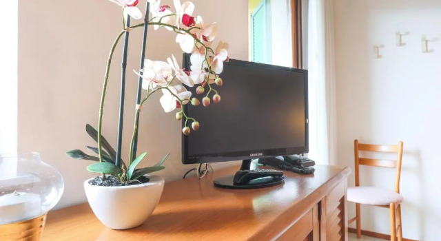 Студия Residence il Cedro