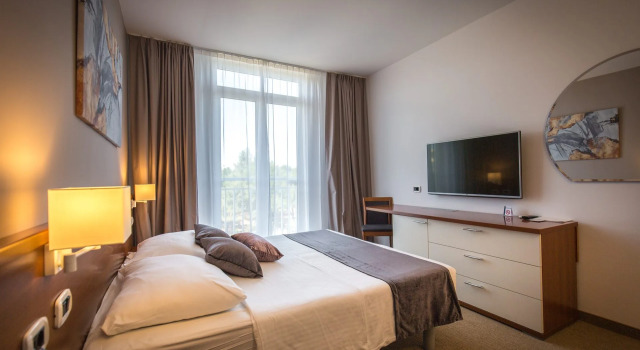 Двухместный номер Standard Arena Hotel Holiday