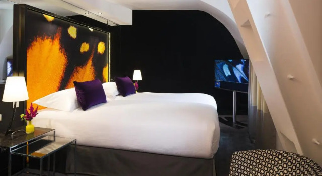 Двухместный номер Superior Hotel de Seze