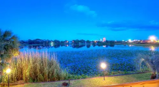 Lullwater 401 By ZIA