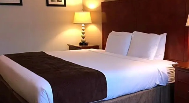 Номер Standard Floral Park Motor Lodge