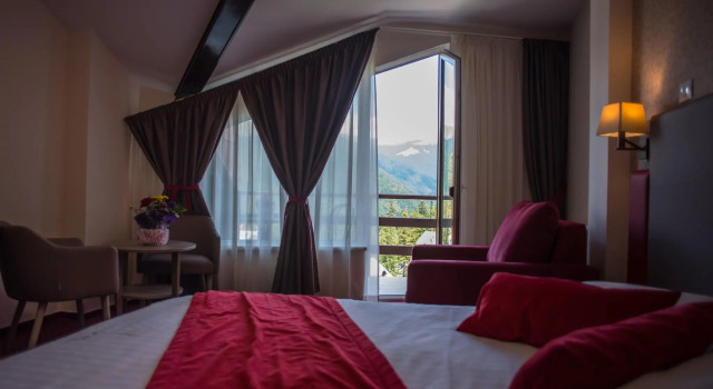 Двухместный номер Standard с видом на горы Hotel Marea Neagra
