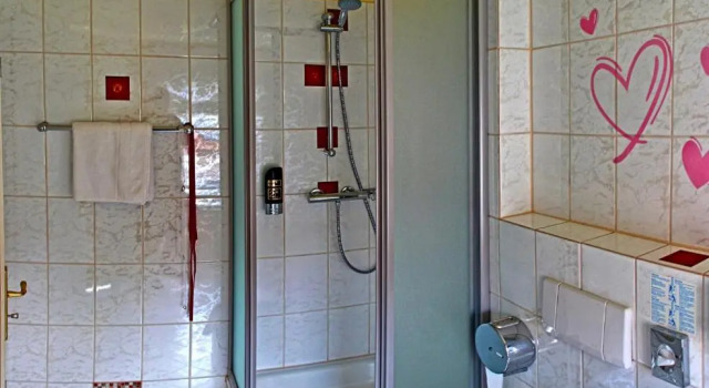 Номер Standard Hotel Schwarzes Ross Siebenlehn