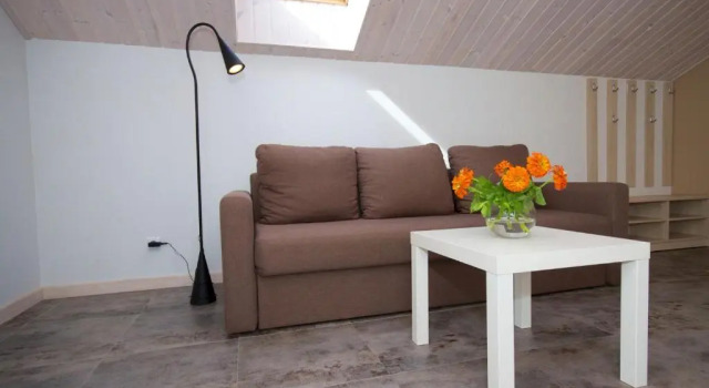 Студия Guesthouse Žilvičių g. 5
