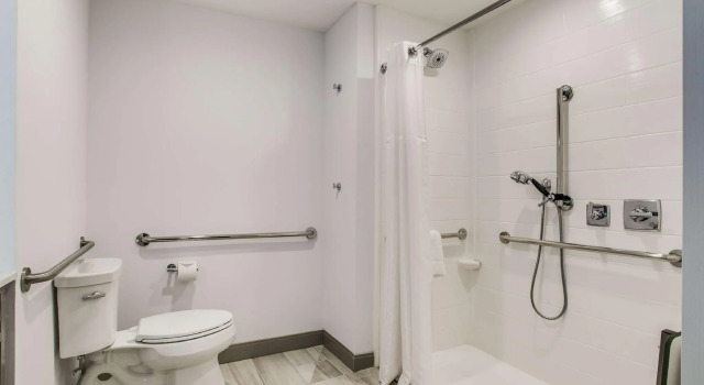 Двухместный номер Mobility Accessible Roll-In Shower Hilton Garden Inn Dallas-Central Expy/North Park Area, Tx