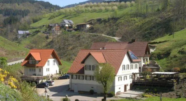 Ferienhaus Niedermättle, Book Apartment Oppenau Black Forest
