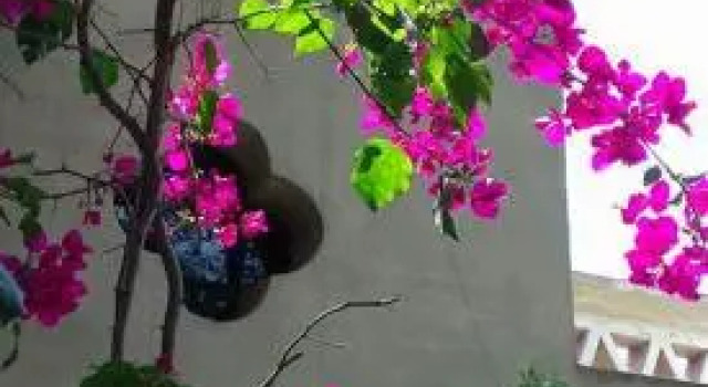 Los Tarcos Guest House