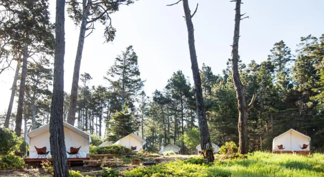Тент Mendocino Grove