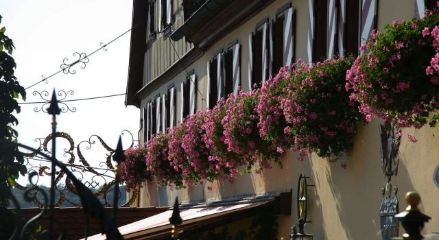 Hotel Brauereigasthof Landwehr-Bräu, Book Hotel Hoteller i Frankenhöhe med morgenmad, Morgenmad