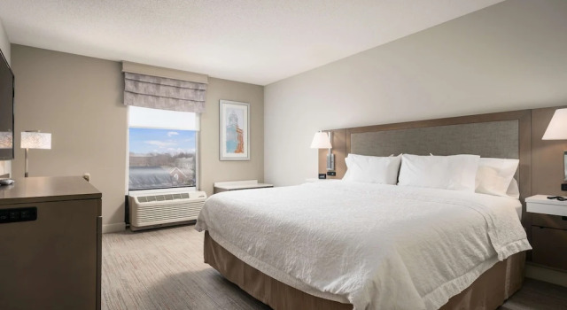 Suite doppia Hampton Inn - Springfield