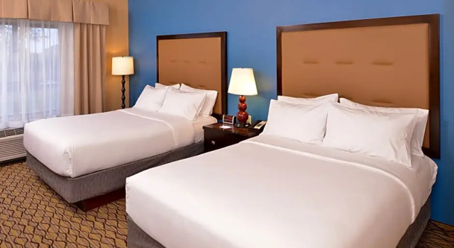 Номер Deluxe Holiday Inn Express & Suites Wichita Falls by IHG