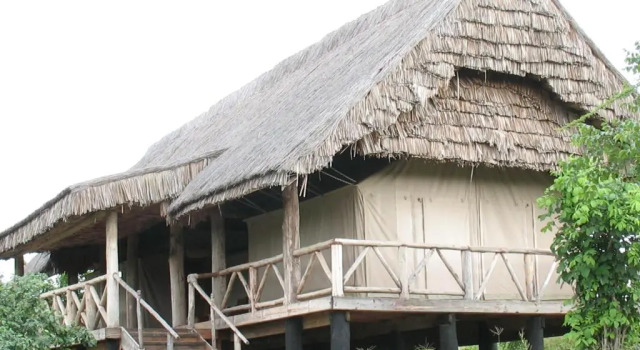 Семейный номер Standard Roika Tarangire Tented Lodge