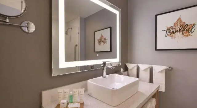 Люкс c 1 комнатой Radisson Hotel Atlanta Airport