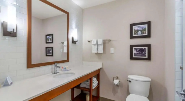 Трёхместный люкс Standard Comfort Inn & Suites