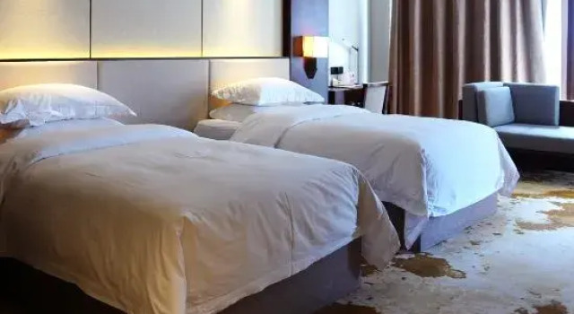 Luksusowy suite Mr.D Hotel