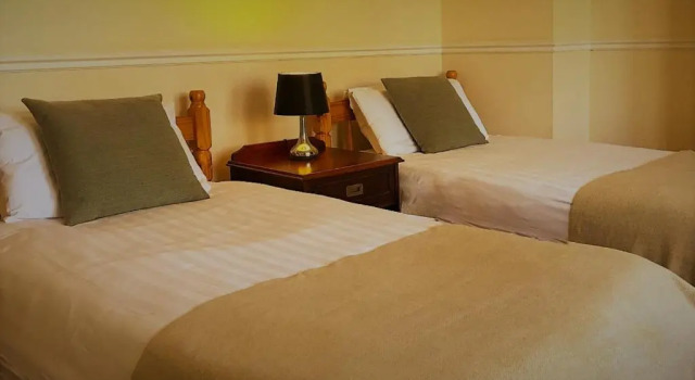 Economy Kahden hengen huone Central Hotel