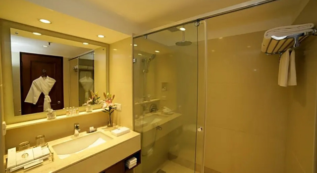 Номер Standard Jaypee Palace Hotel