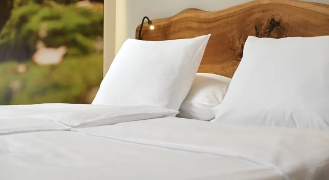 Номер Deluxe OREA Resort Horal Špindlerův Mlýn