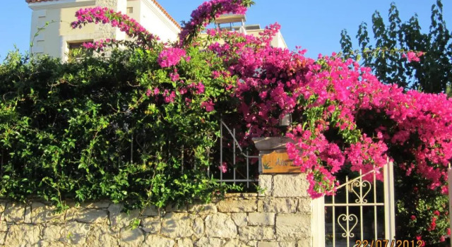 Вилла Aloe & Lotus Villas