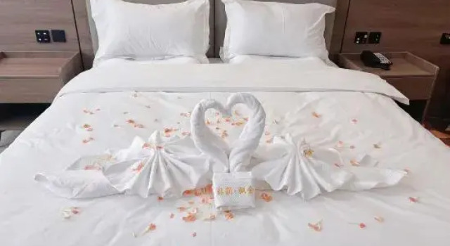 Люкс Premier Linyin Fengshe Hotel (Luancheng Shangborui Shopping Mall)